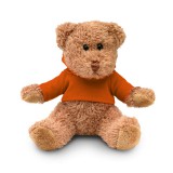 Teddybeer met sweatshirt