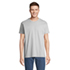IMPERIAL MEN T-Shirt 190g - pure grey