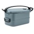 Lunchbox van PP